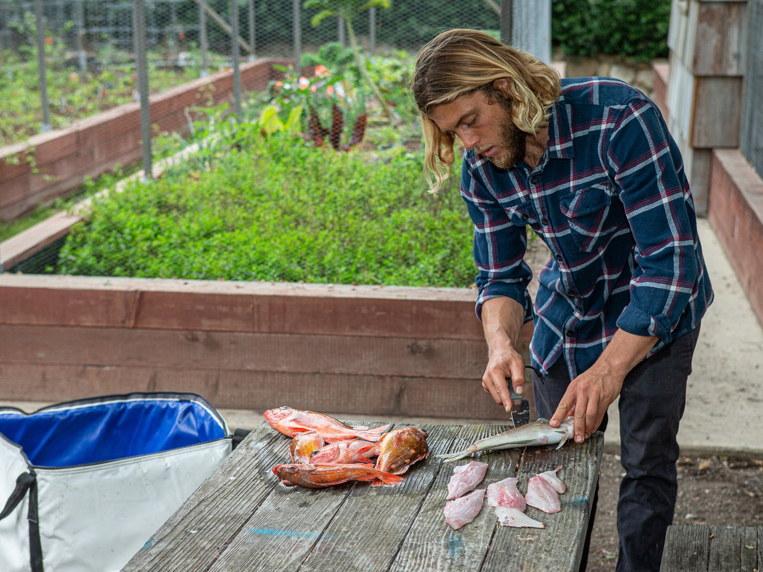 Professional surfer Connor Coffin filleting fish in his backyard with his Hells Canyon fixed blade knife.
