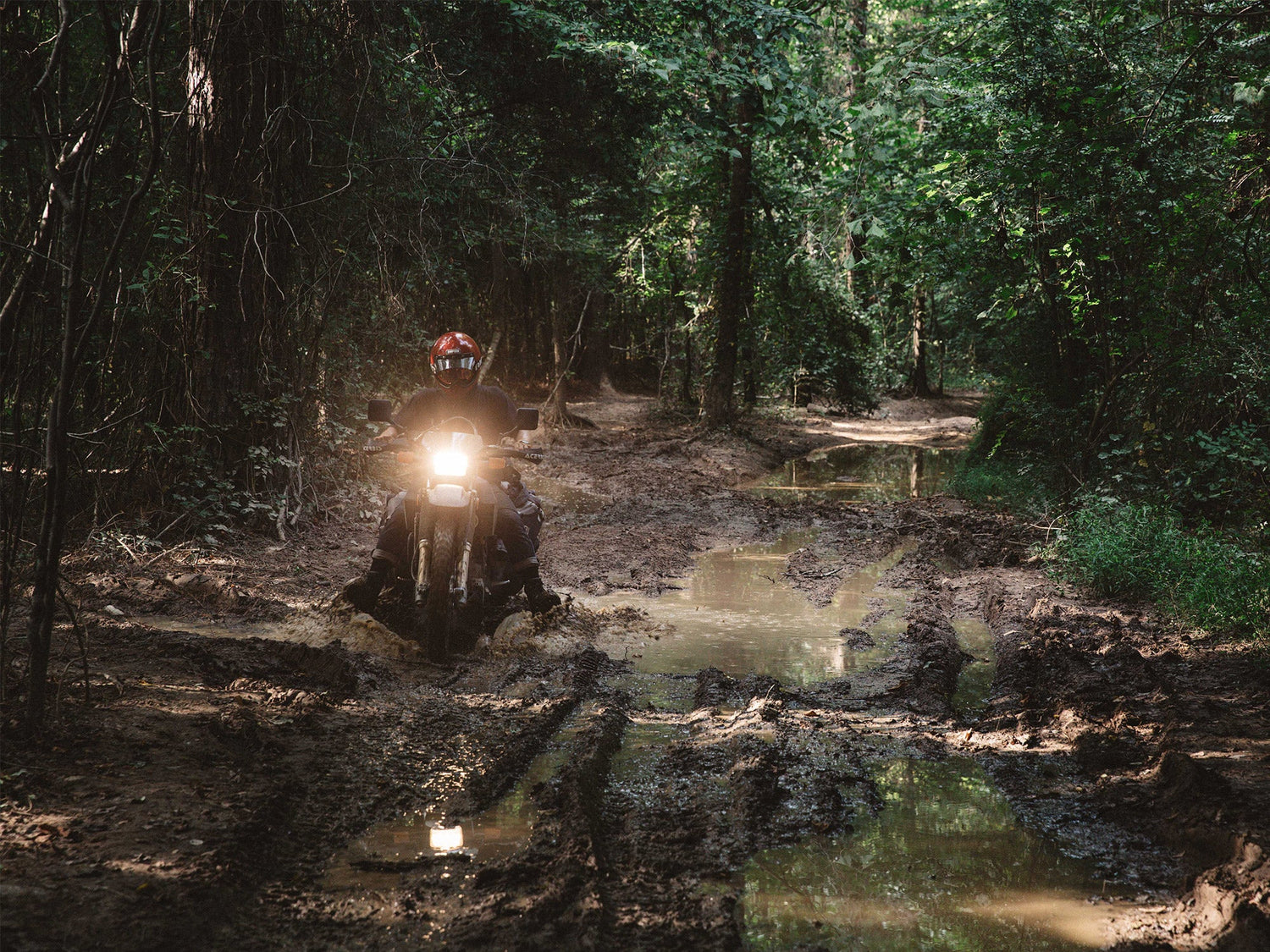 A motorcyclist riding through a muddy road in the wilderness.