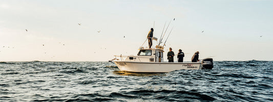 Uncharted: Mission to Baja