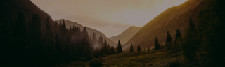 A forested mountain range.