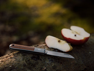 A Wayland classic barlow slip joint knife next to slices of an apple.