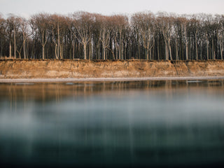 The ghost forest in Germany.