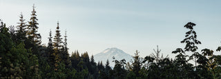 A mountain over the tree line in the Pacific Northwest.