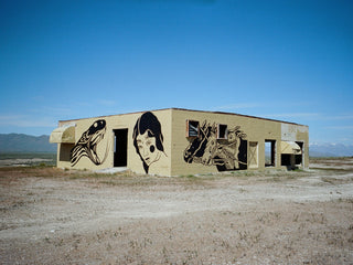 Artist Jess Mudgett's complete desert mural.