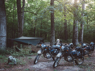 Motorcycles in woods.